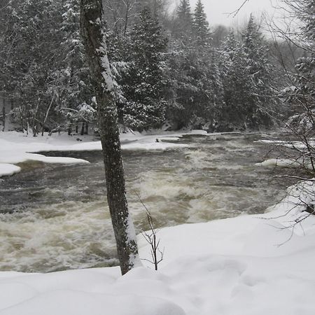 Spring Lake Resort Dwight Экстерьер фото