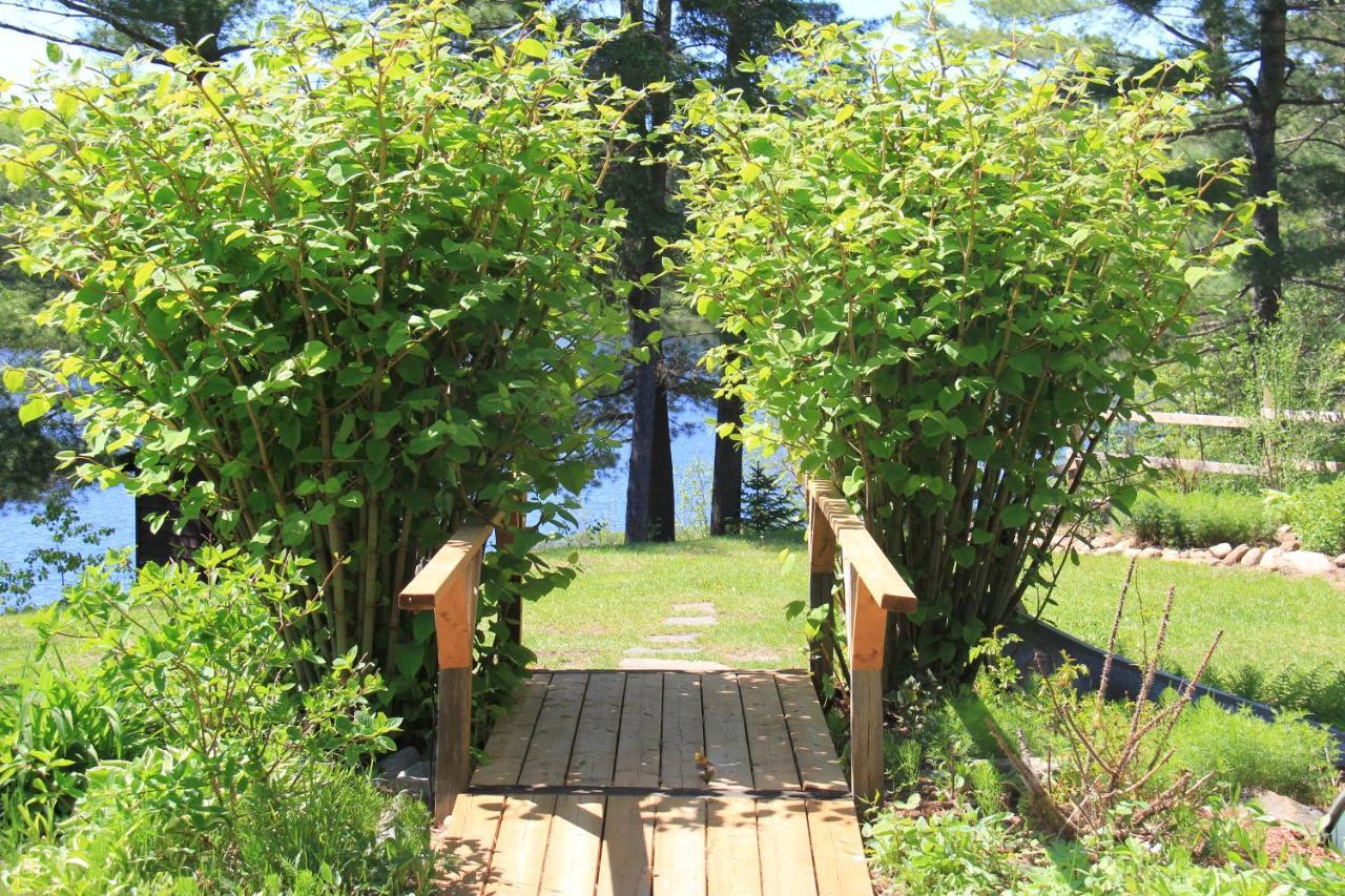 Spring Lake Resort Dwight Экстерьер фото