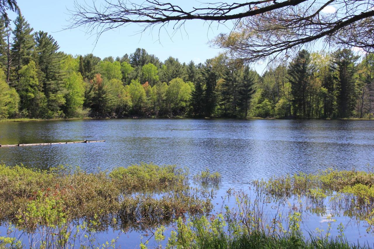 Spring Lake Resort Dwight Экстерьер фото