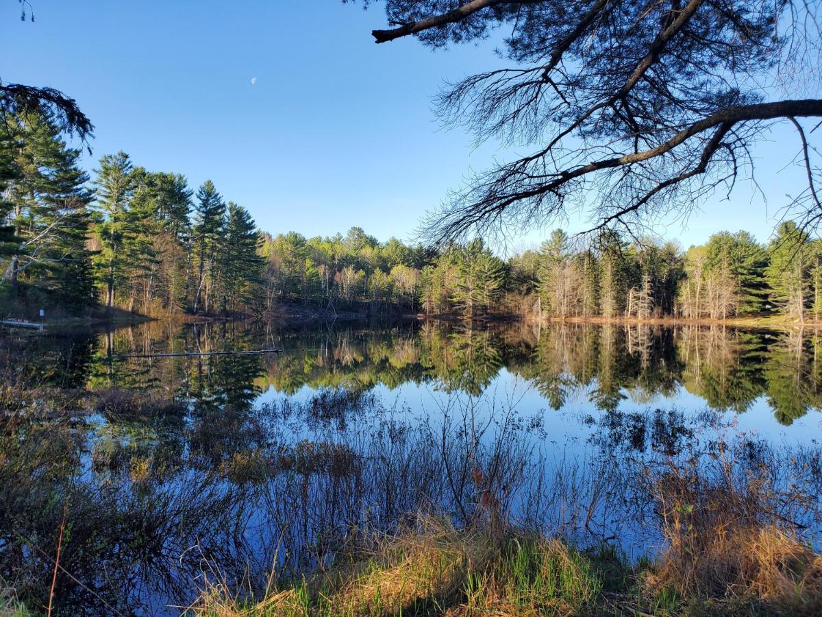 Spring Lake Resort Dwight Экстерьер фото