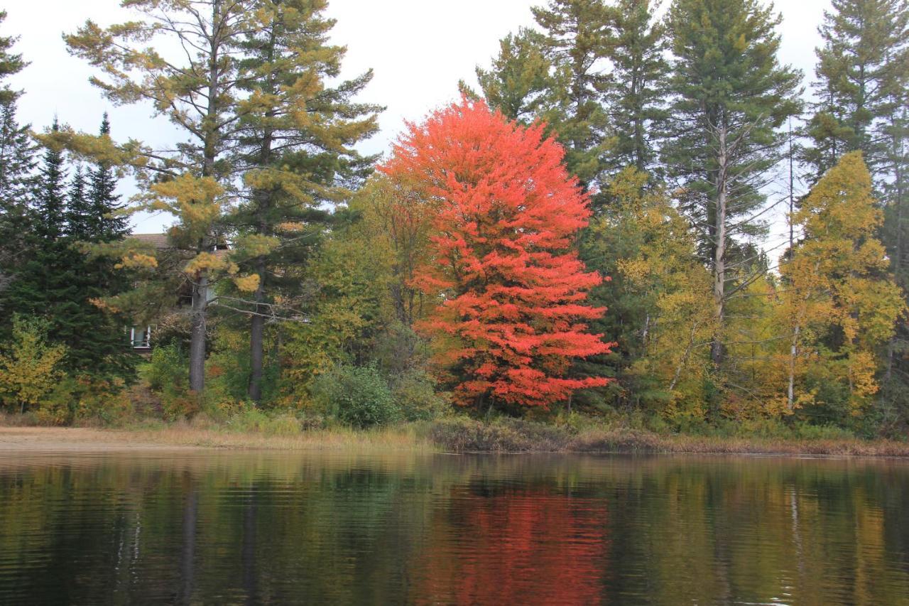 Spring Lake Resort Dwight Экстерьер фото