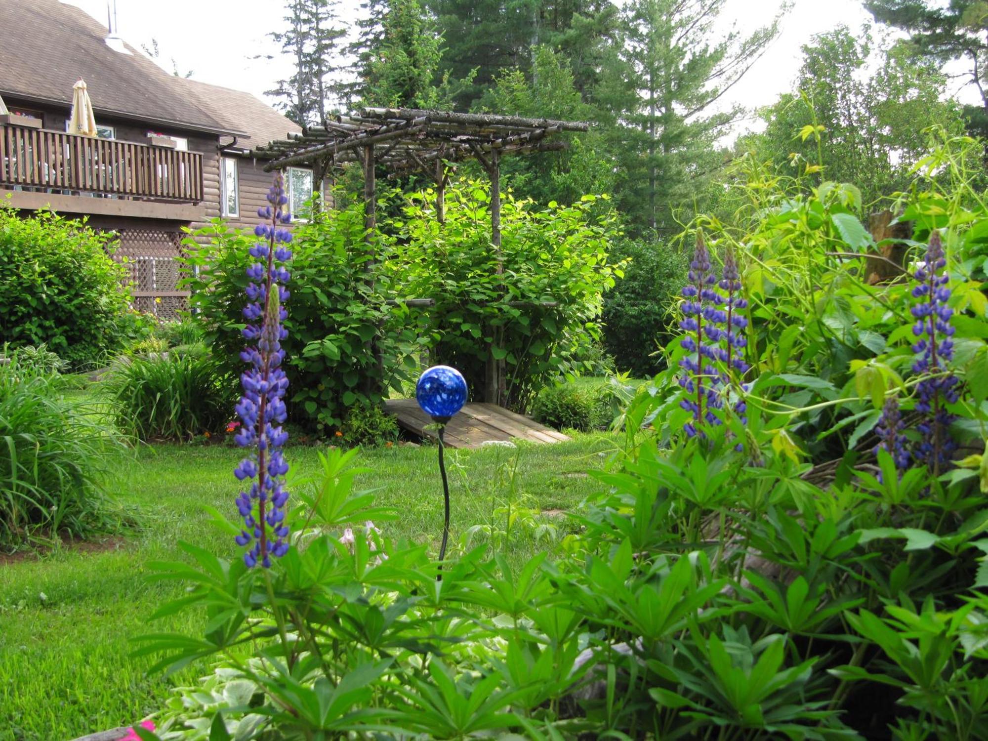 Spring Lake Resort Dwight Экстерьер фото