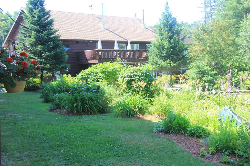 Spring Lake Resort Dwight Экстерьер фото